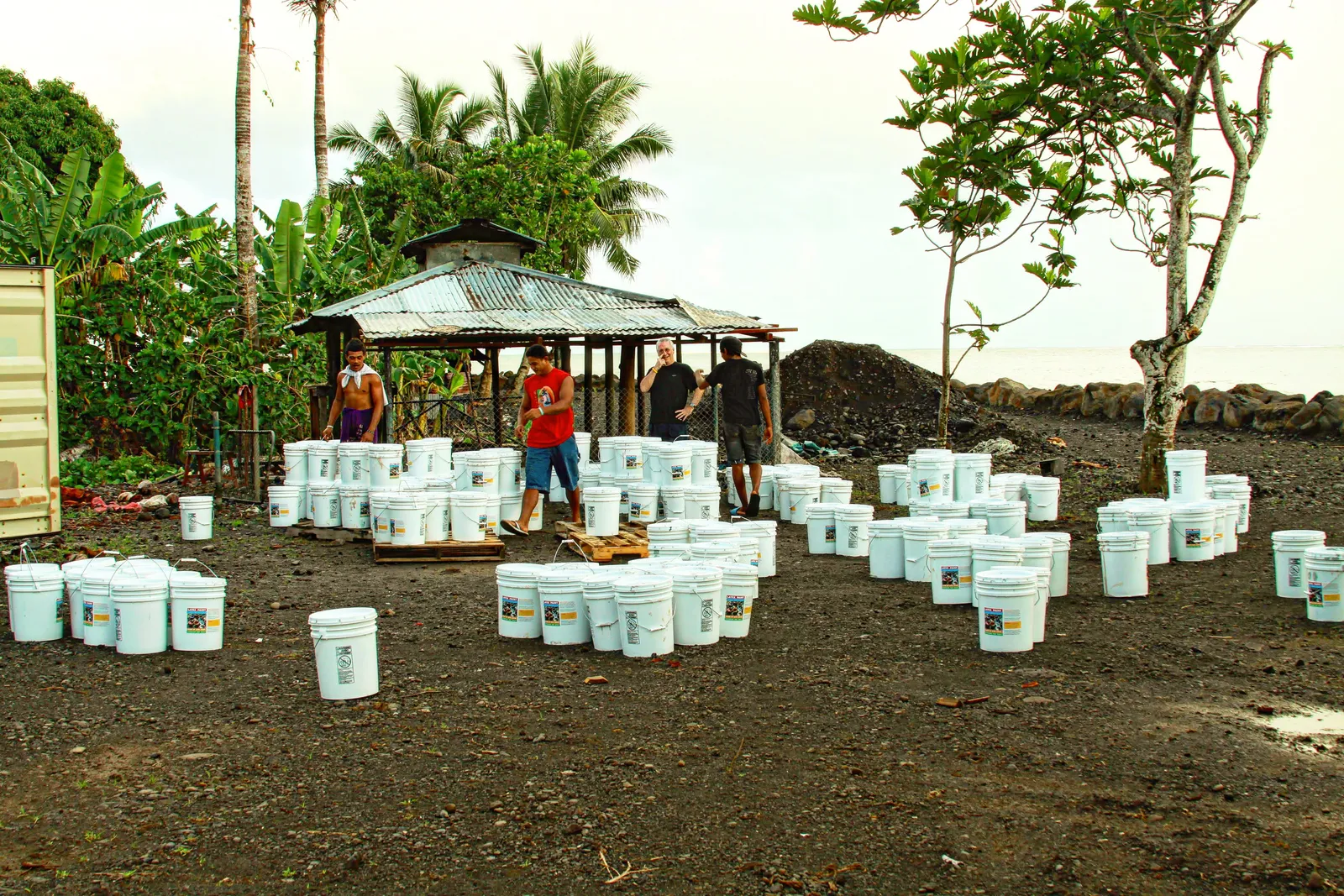 CERF 2011 project